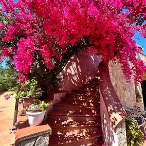 https://hotel-fertilia.hotelsalgherosardinia.com